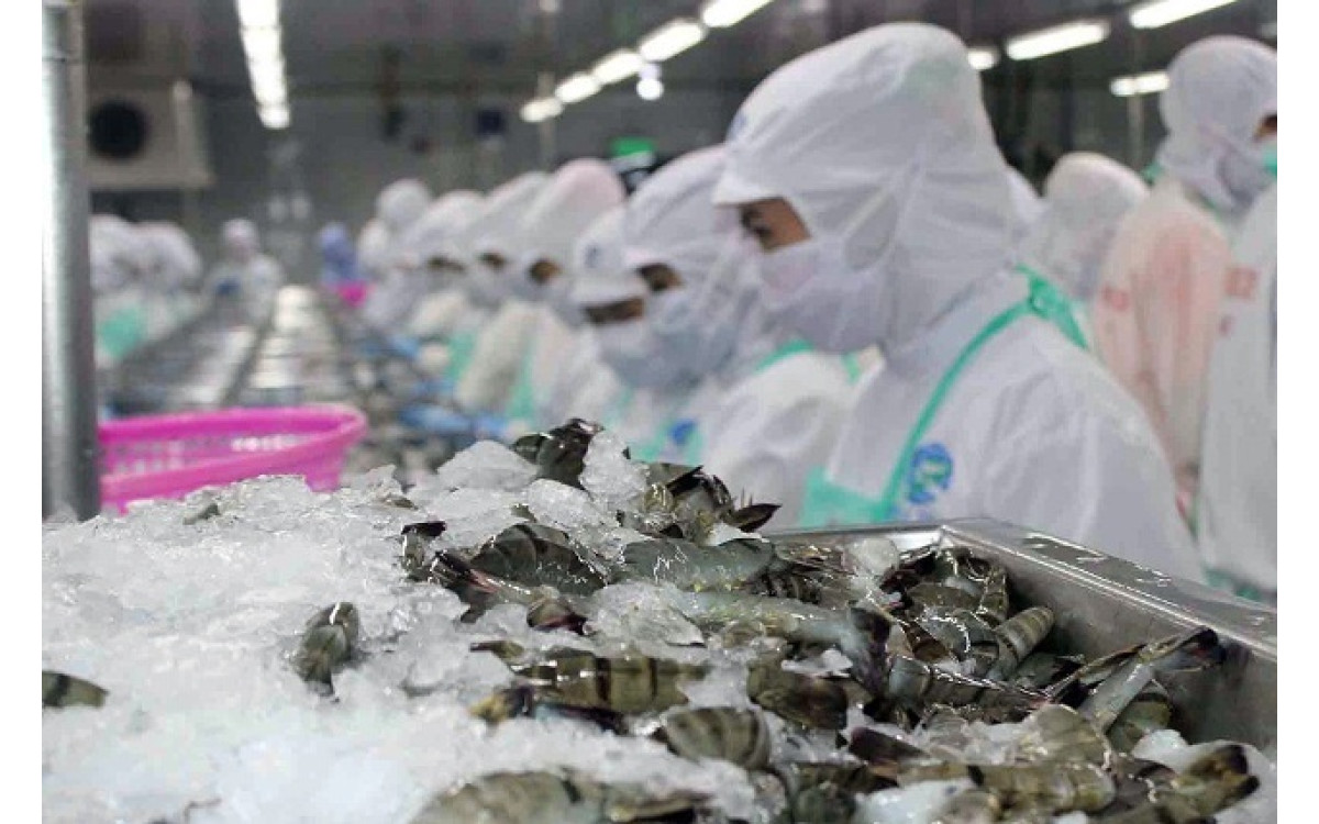 Xuất khẩu t&ocirc;m Việt Nam sang EU hi vọng tăng trưởng nhờ Hiệp định EVFTA